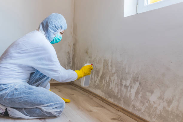 Licensed Mold Inspection service in Danville, PA - WQB Mold Removal