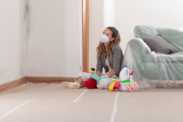 Reliable Mold Inspection contractor in Danville, PA by WQB Mold Removal
